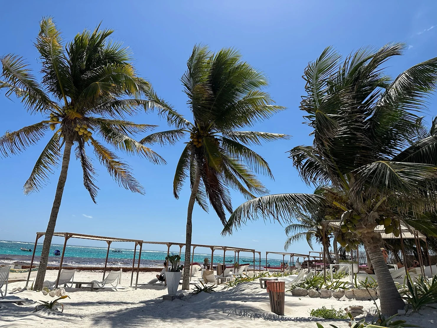 Tips and Tricks for Traveling to Tulum